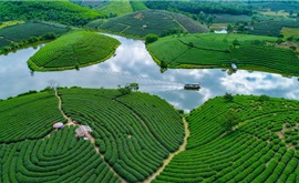 Hà Nội - Đồi chè Thanh Chương - Vườn Quốc Gia Pù Mát