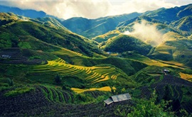 Hà Nội - Cát Cát - Hàm Rồng - Fansipan