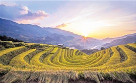 Hà Nội - Mù Cang Chải - Suối Giàng - Tú Lệ