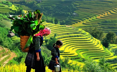 Hà Nội - Mù Cang Chải - Suối khoáng nóng Ngọc Chiến